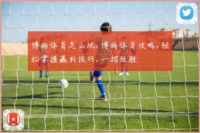 博狗体育怎么玩,博狗体育攻略,轻松掌握赢利技巧,一招致胜