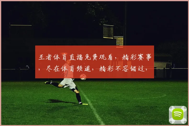 王者体育直播免费观看，精彩赛事，尽在体育频道，精彩不容错过，不容错过，不容错过